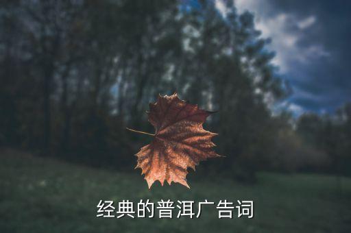 普洱茶企业的简短经典搞笑段子有哪些