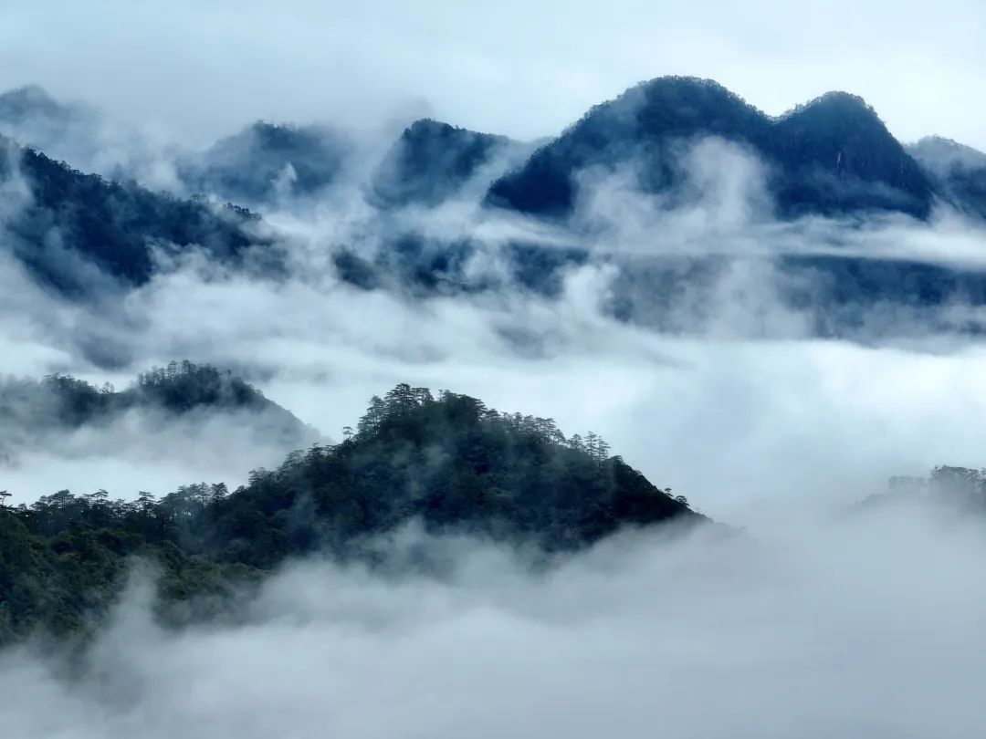 醉美武夷山水茶 武夷山水和一杯好茶、一段诗意人生