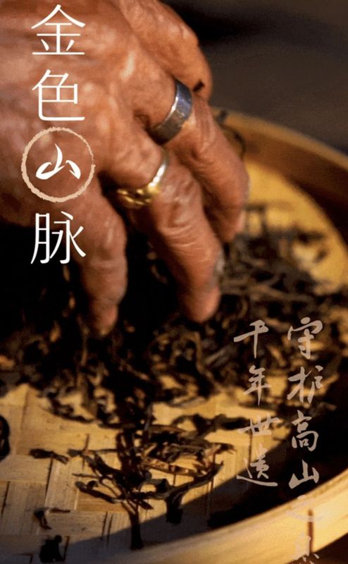 奈雪饮品——金色山脉/香水金色山脉珍珠奶茶