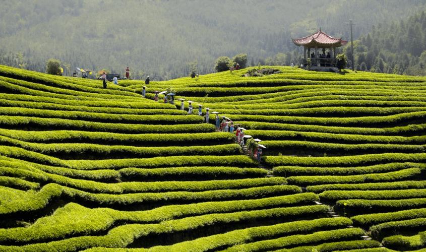 乌鲁木齐茶叶礼盒在哪里定做