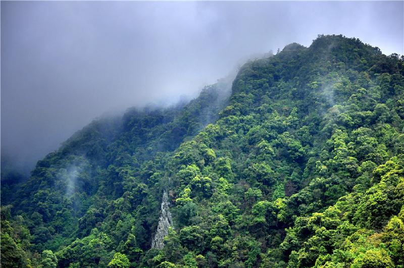 普洱茶区——无量山