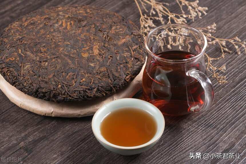 茶多多告诉你普洱紧压茶与散茶的优缺点