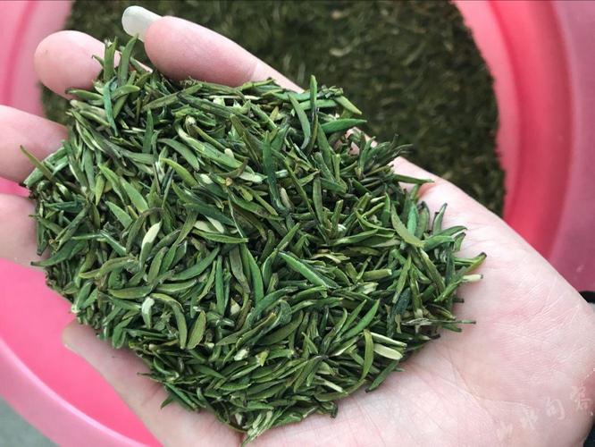 茶中含有大量的食物纤维 减腹部脂肪的茶