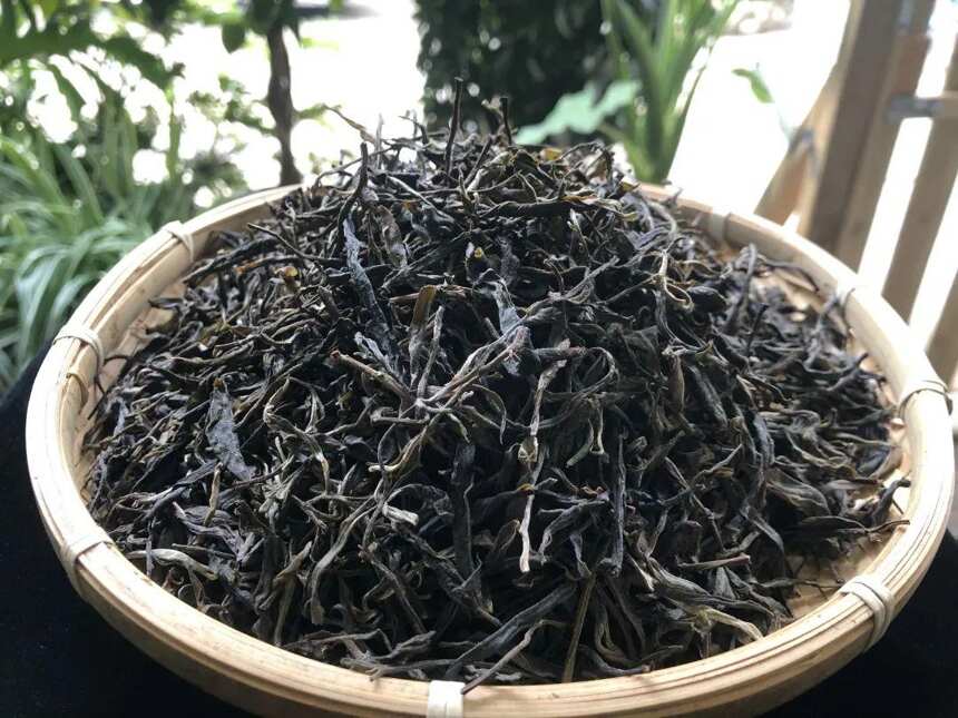 景迈古树茶