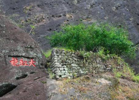 冷知识，大红袍不是红茶，而是乌龙茶（武夷岩茶）