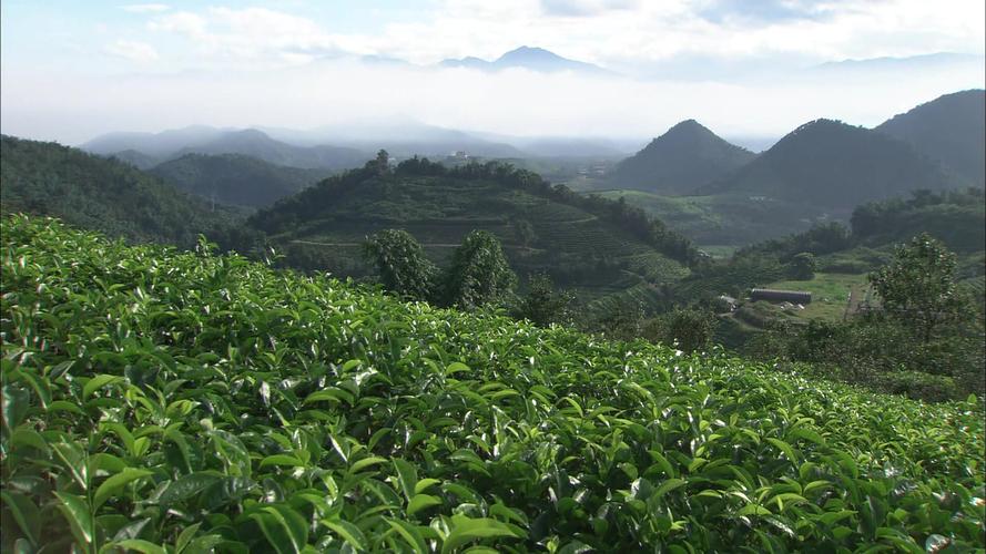 《煎茶赋》宋 . 黄庭坚