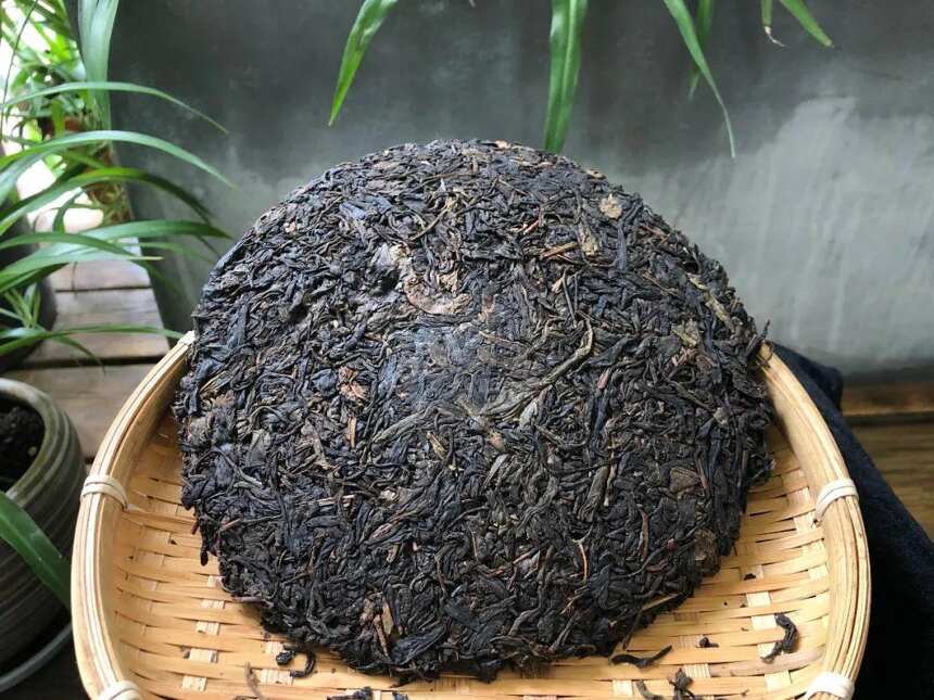 老徐鉴茶第560期：2002年临沧野生古树茶品鉴报告（上海茶友寄）