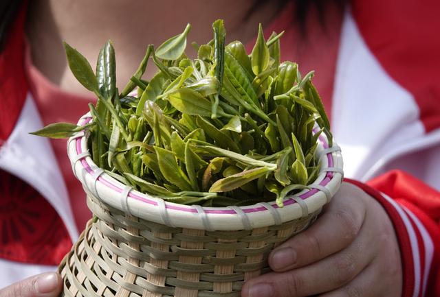 龙井茶保质期1-2年，新茶可存1-2年