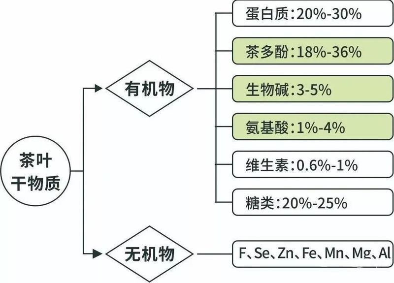 茶叶中的化学成分，多达700余种