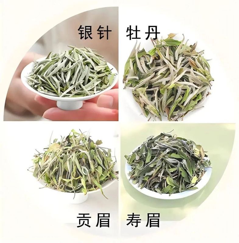 福鼎白茶更是有着“一年茶，三年药，七年宝”